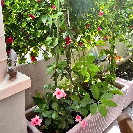 Готель Eden - La Baigneuse Жюан-ле-Пен